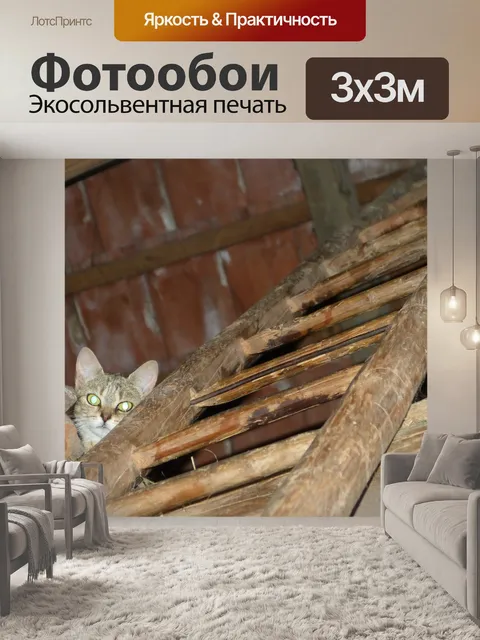 Фотообои Деревня кошки