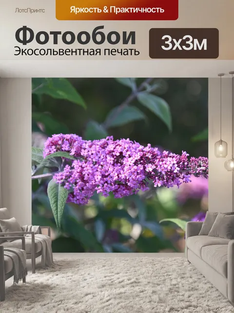 Фотообои Цветок