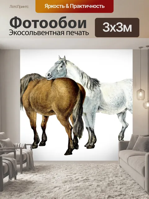 Фотообои Лошади