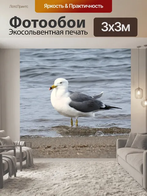 Фотообои Животное
