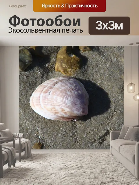 Фотообои Ocean Beach Seashell