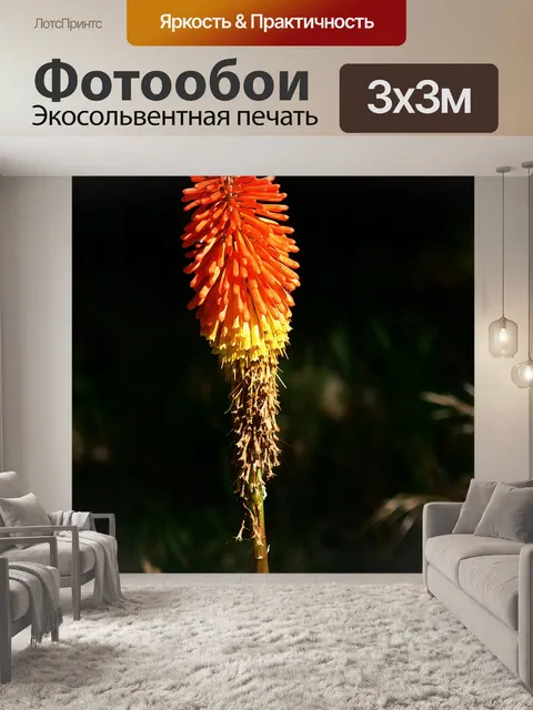 Фотообои Живопись Red Hot цветок покер