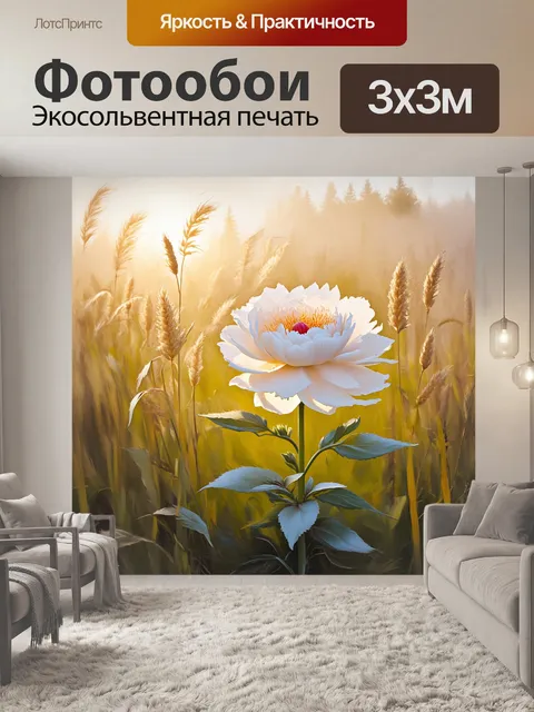 Фотообои в поле, усыпанном утренним туманом, величественный белый пион растет среди длинной травы