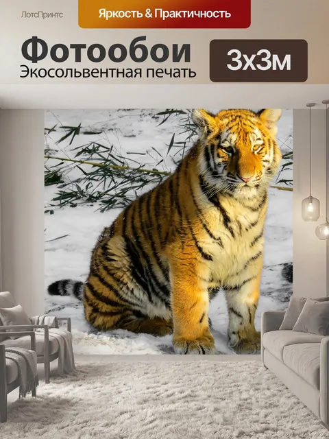 Фотообои Тигр