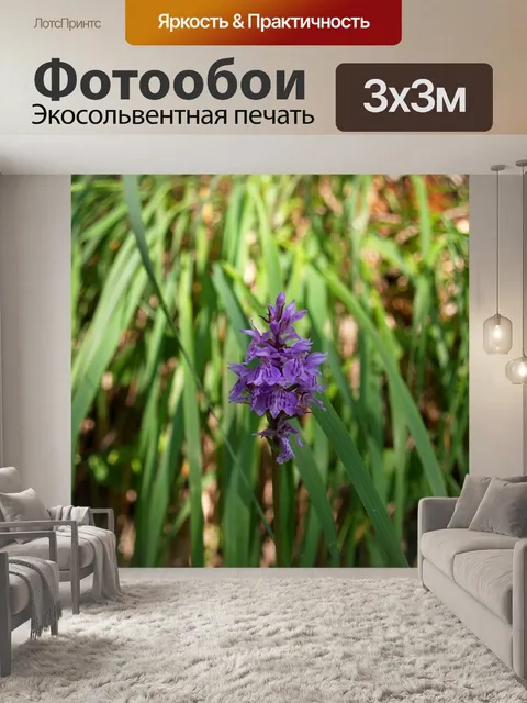 Фотообои Альпийский цветок