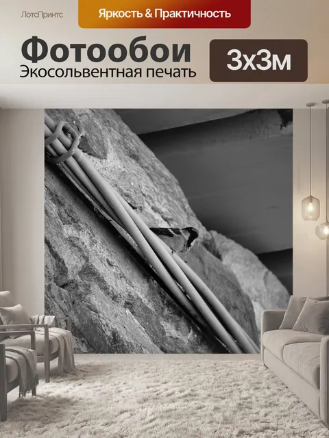 Фотообои Воробей на электрических кабелях