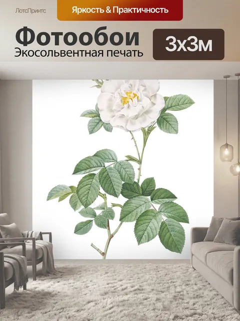 Фотообои Белая роза Винтаж Иллюстрация