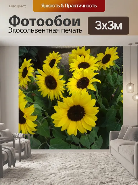 Фотообои Подсолнечник