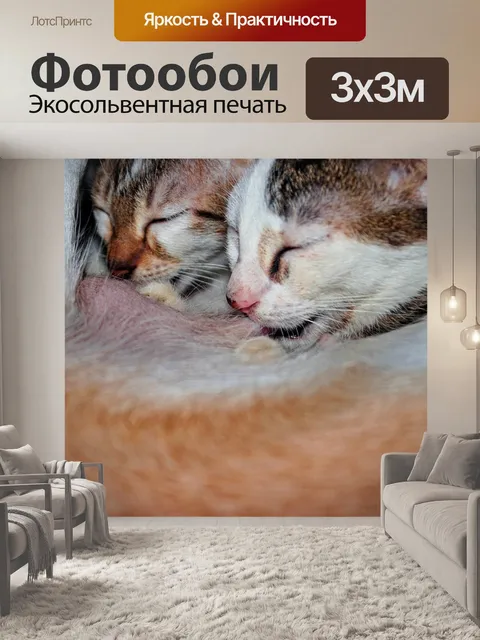 Фотообои Кормление кошек груди