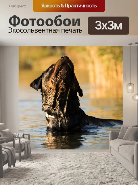 Фотообои Воды