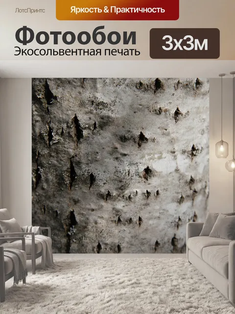 Фотообои Береза Кора