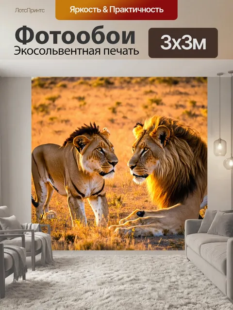 Фотообои дикие львы в саванне на фоне заката