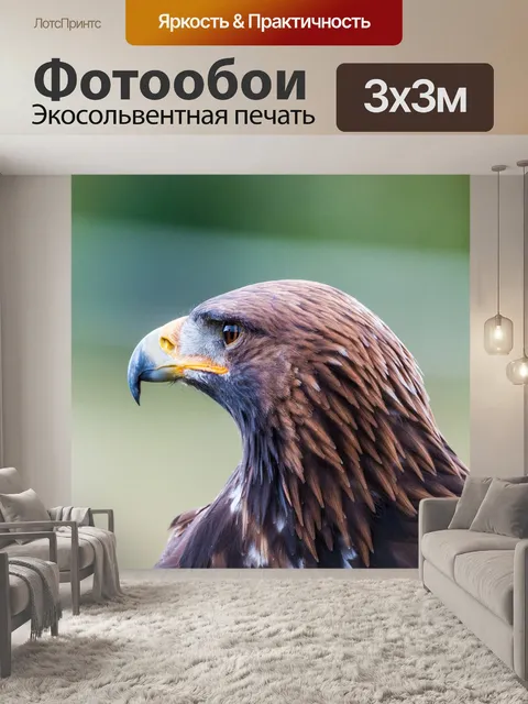 Фотообои Золотой орел