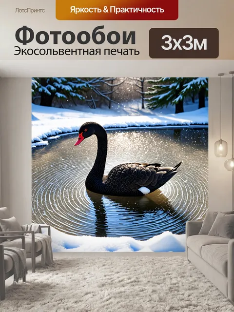 Фотообои черный лебедь среди зимнего пейзажа, когда пруд замерз и окружен белыми снежными покровами