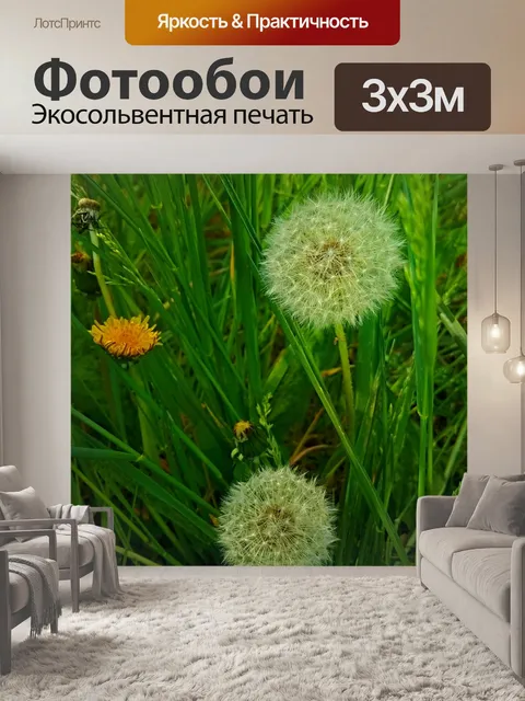 Фотообои Одуванчики