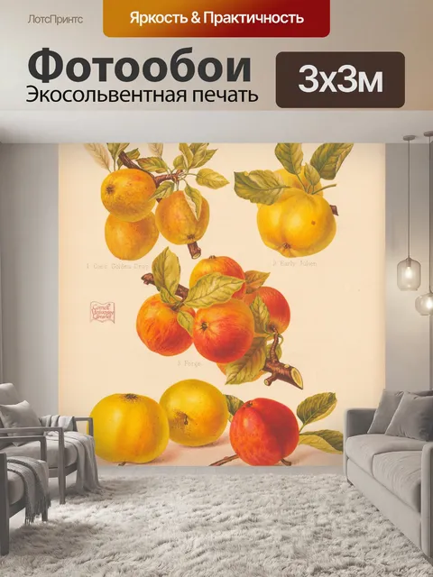 Фотообои Старинный фруктовый сад