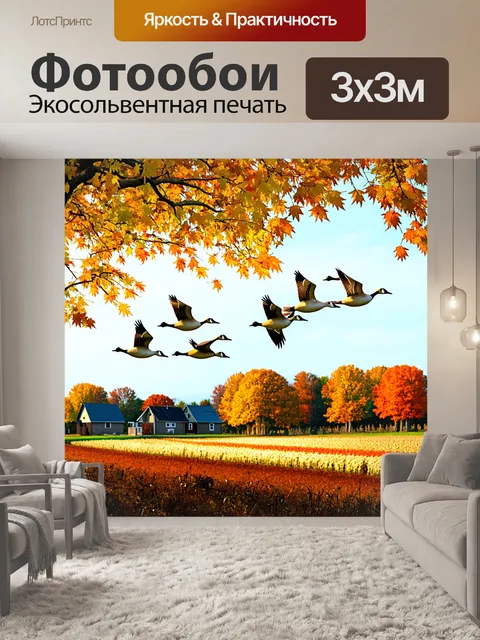 Фотообои стая гусей летит над осенним лесом