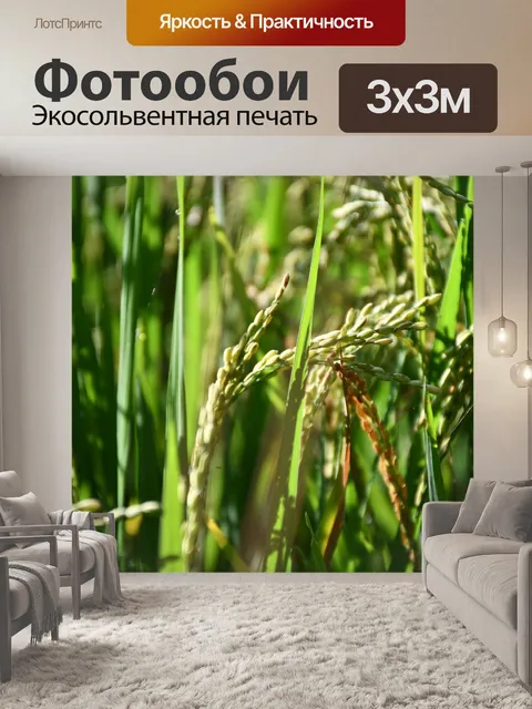 Фотообои Пэдди