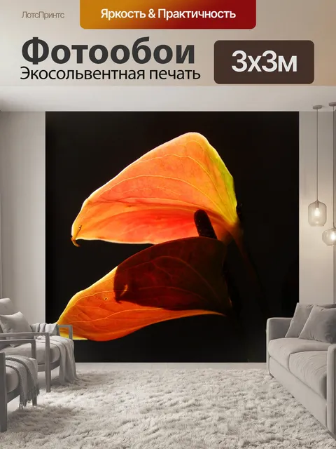 Фотообои Цветок