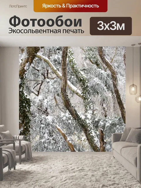 Фотообои Снег
