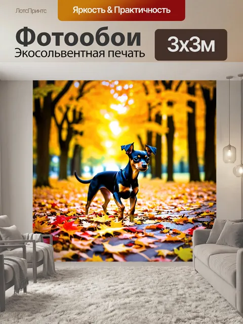 Фотообои той терьер, исследующий красивый осенний парк с желтыми и красными листьями