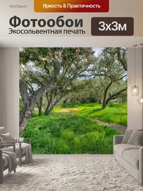 Фотообои Сельская тропа