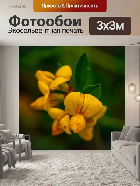 Фотообои Трава