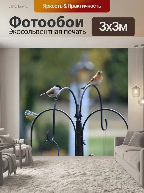 Фотообои Птицы