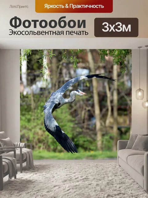 Фотообои Серая цапля