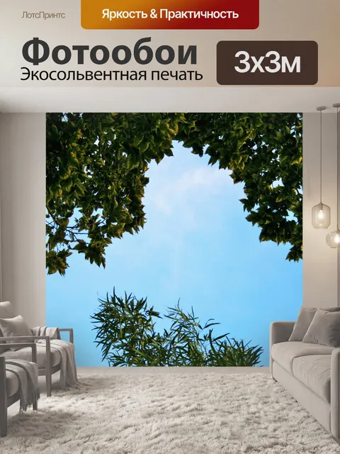 Фотообои Голубое небо и белые Stinkwood