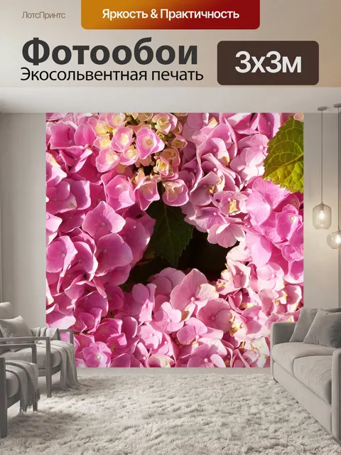 Фотообои Гортензия