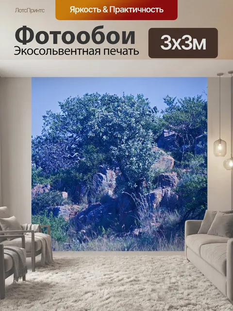 Фотообои густая растительность на скалистом холме