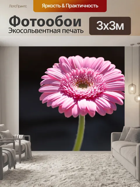 Фотообои Маргарита