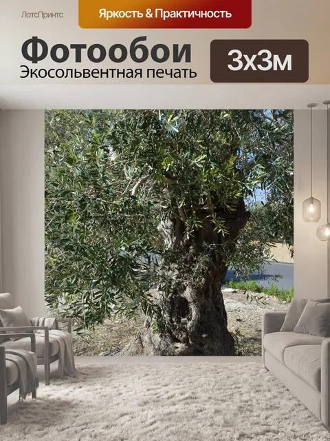 Фотообои Дерево