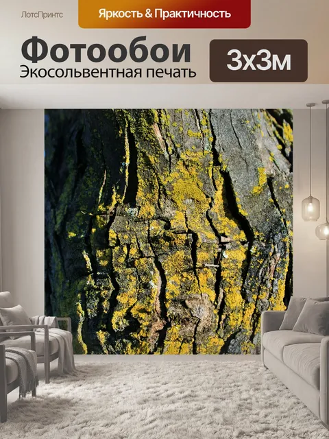 Фотообои желтый лишайник на коре