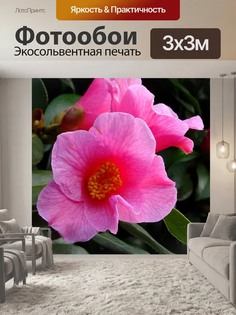 Фотообои Розовые летние цветы