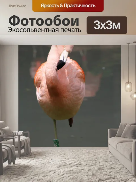 Фотообои Фламинго