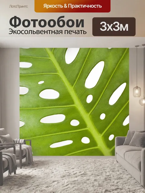 Фотообои Монстера
