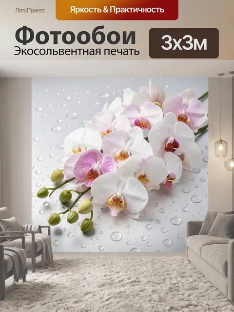Фотообои Белые и розовые орхидеи