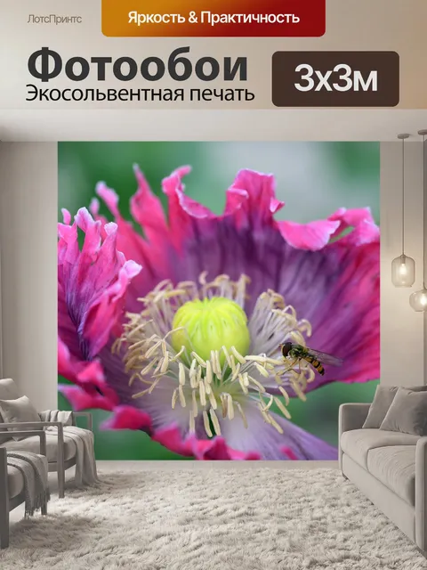 Фотообои Мак