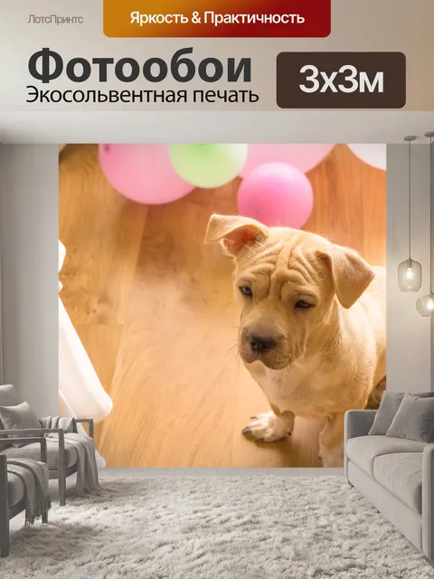 Фотообои Собака