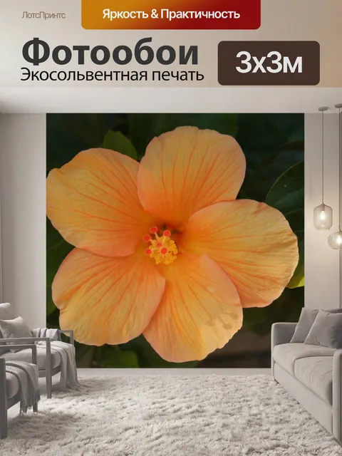 Фотообои Гибискус