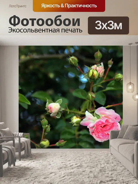 Фотообои Розовая роза с бутонами