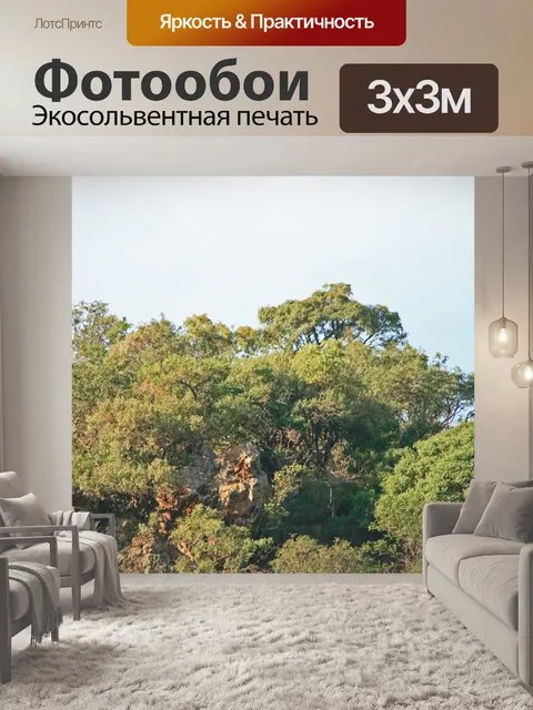 Фотообои деревья и скалы на вершине холма