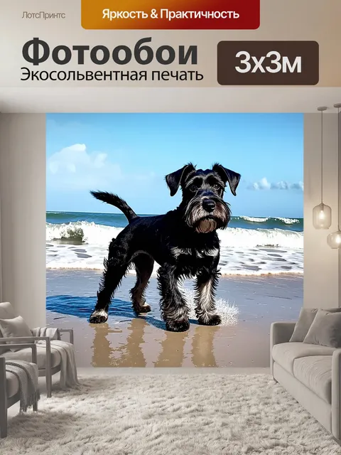 Фотообои черный цвергшнауцер на пляже, играющий с морскими волнами, его шерсть блестит на солнце