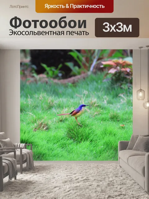 Фотообои Птицы