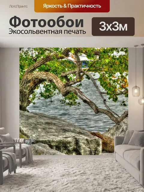 Фотообои Скрученное дерево