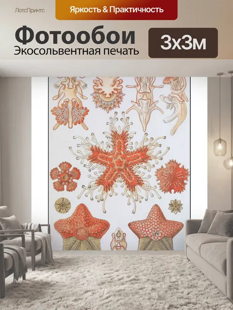 Фотообои Медузы коралловый риф винтаж