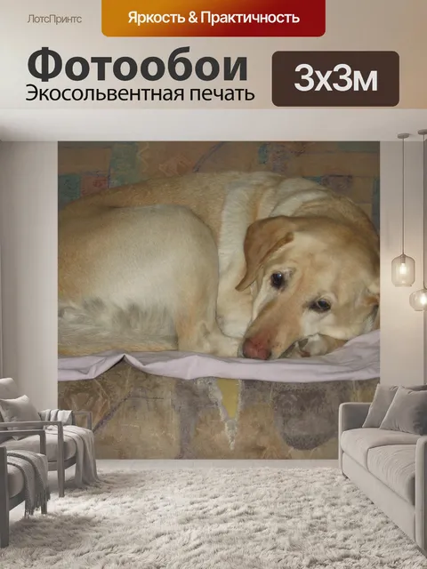 Фотообои Собака