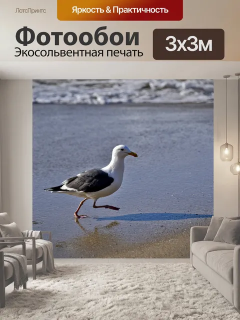 Фотообои Маршевая чайка на пляже